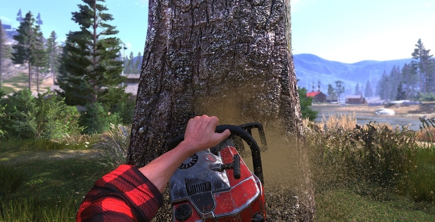 lumberjack dynasty