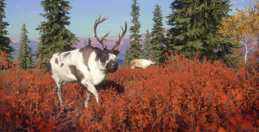 theHunter: Call of the Wild - Yukon Valley