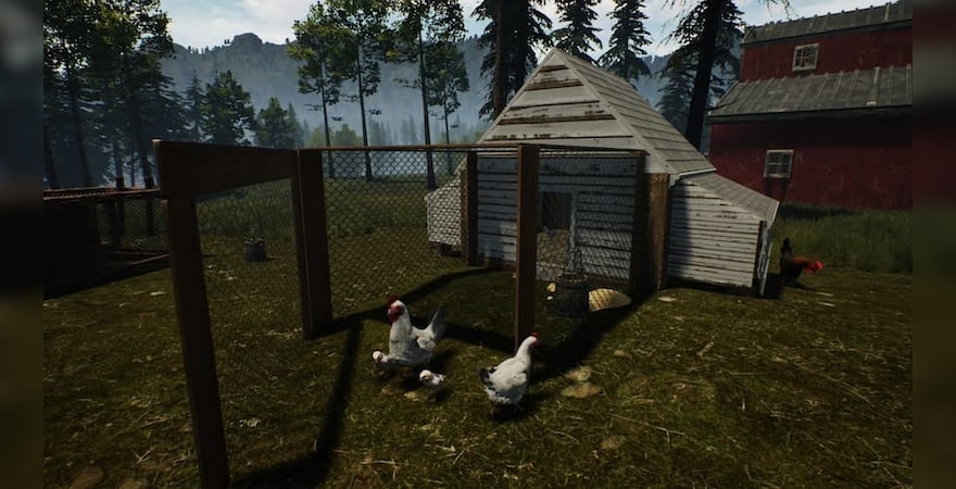 Chickens in Ranch Simulator