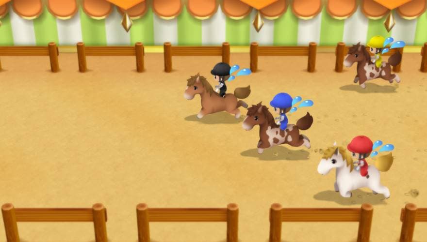 Friens of Mineral Town Riding